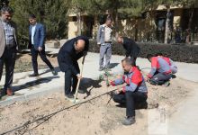 گزارش تصویری مراسم روز درختکاری
